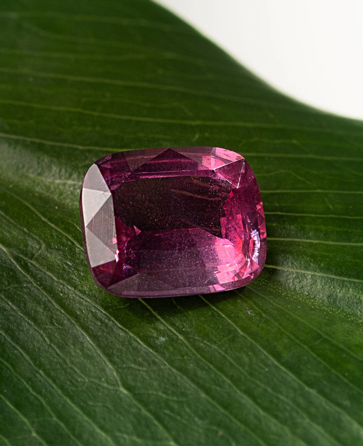 Unheated Cushion Cut Ruby 1.55ct